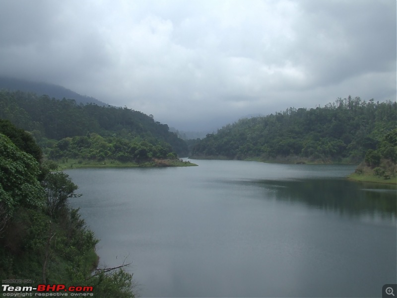 White Lightning strikes Valparai-53.jpg