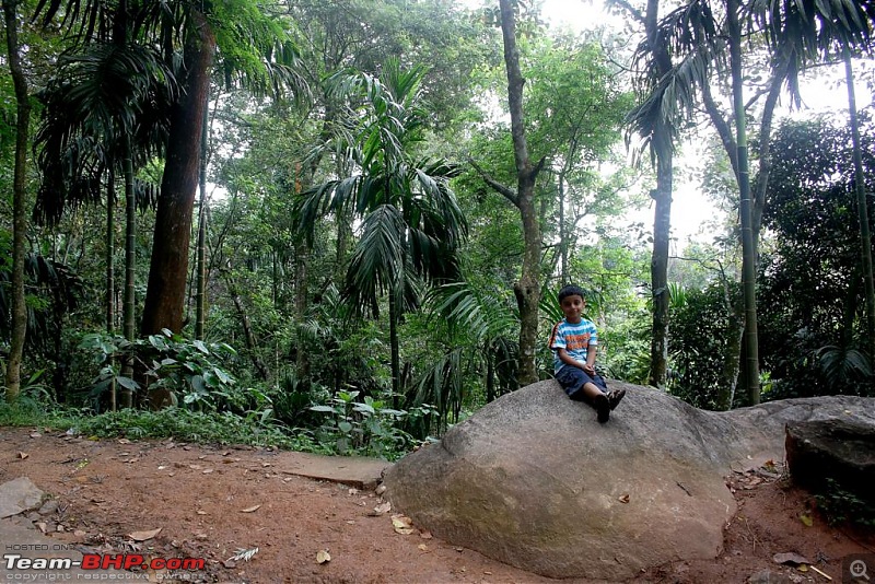 Five Days - Kochi - Kalpeta - Kodaikanal - Valparai - Kochi-edakal-caves-junior.jpg