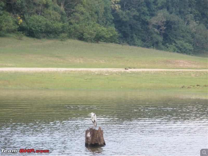 SriSha's D'Log - Trip to Munnar & Thekkady-p5040464.jpg