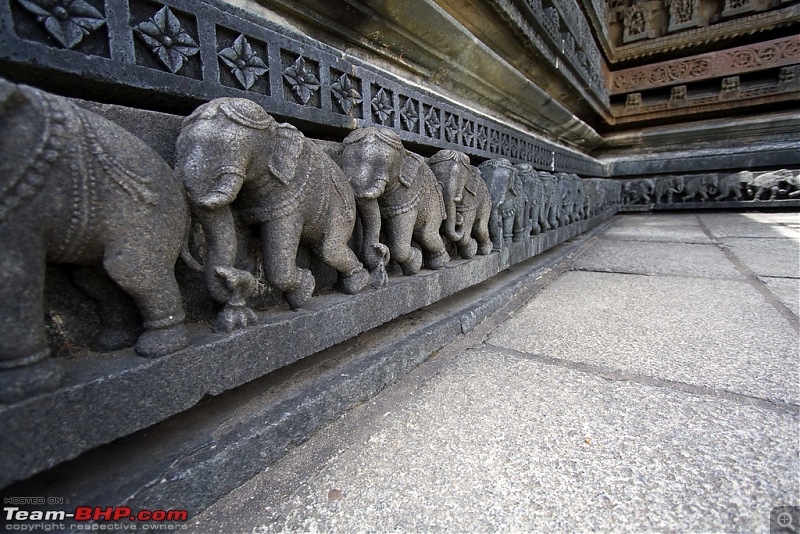 Run to the hills (almost): Chikkamaglur-belur-elephants.jpg