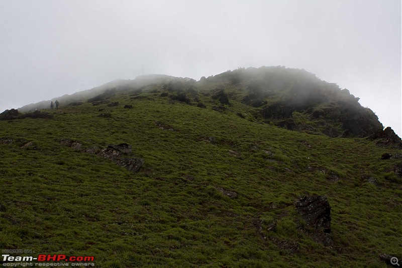 Run to the hills (almost): Chikkamaglur-img_4165.jpg