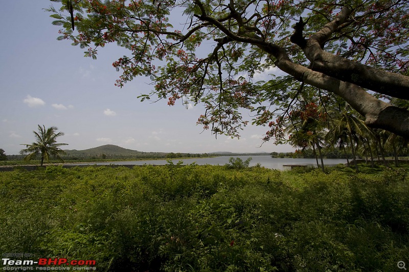 Run to the hills (almost): Chikkamaglur-img_4294.jpg