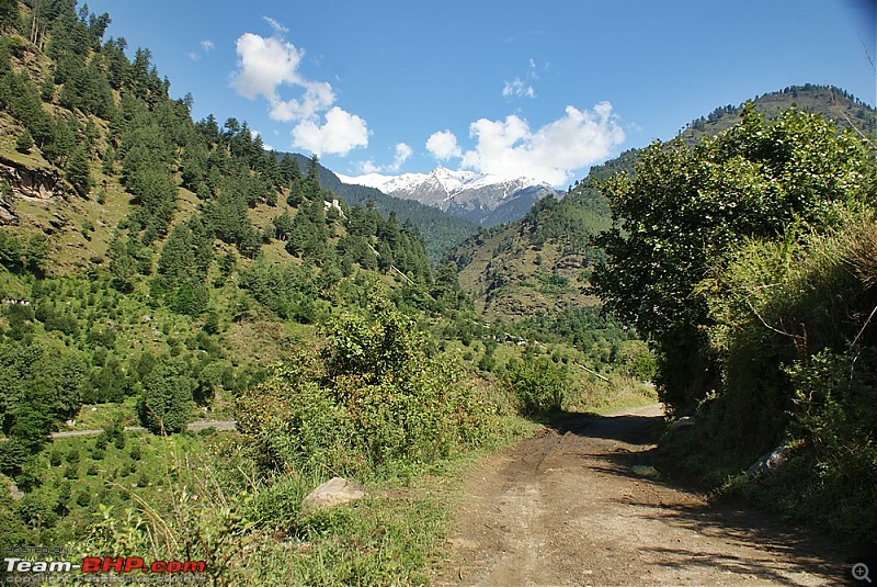 A Trek in The Himalayas-dsc04261.jpg