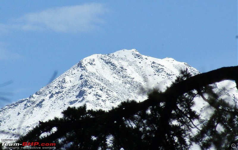 A Trek in The Himalayas-dsc04273.jpg