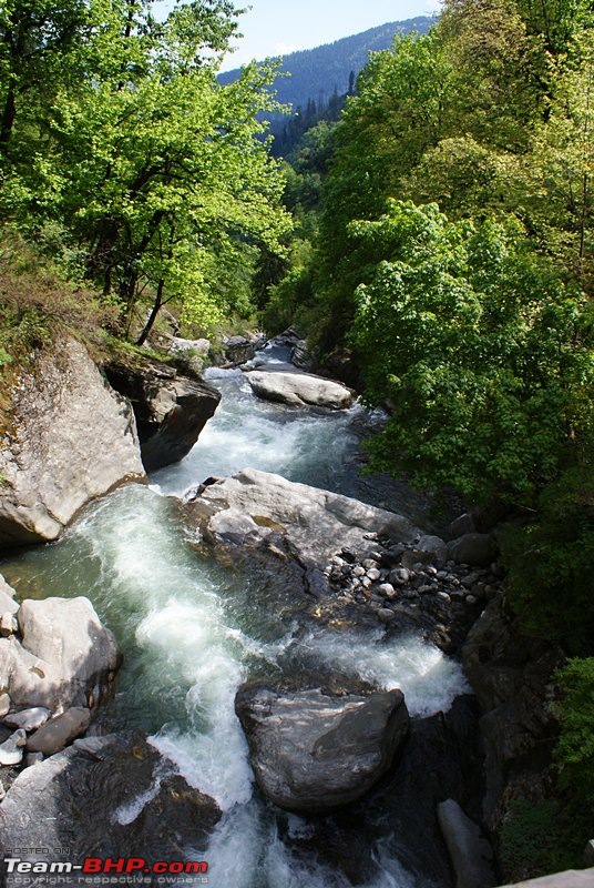 A Trek in The Himalayas-dsc04336.jpg