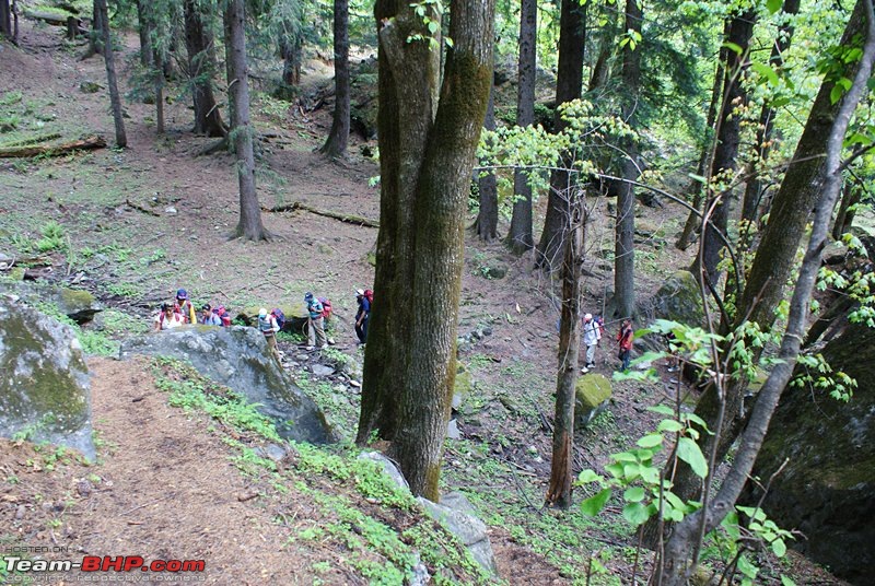 A Trek in The Himalayas-dsc04341.jpg