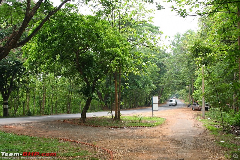 A few photos from Nilambur-img_4261.jpg