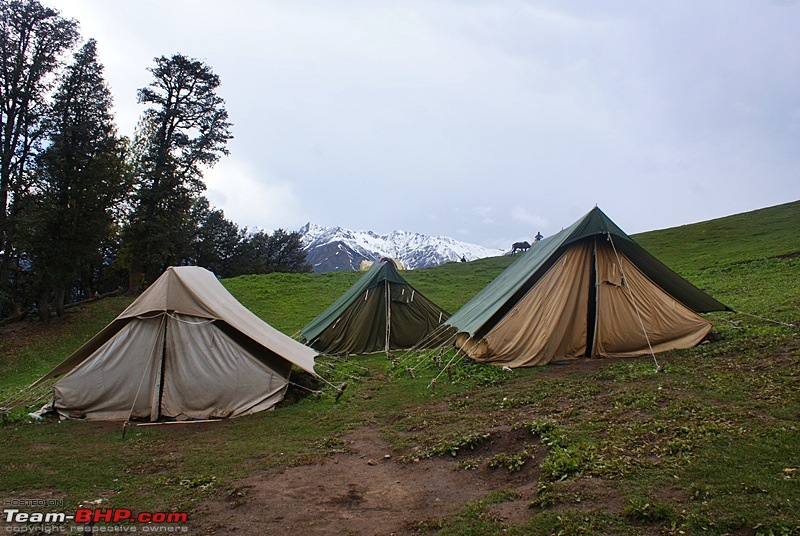 A Trek in The Himalayas-dsc04389.jpg