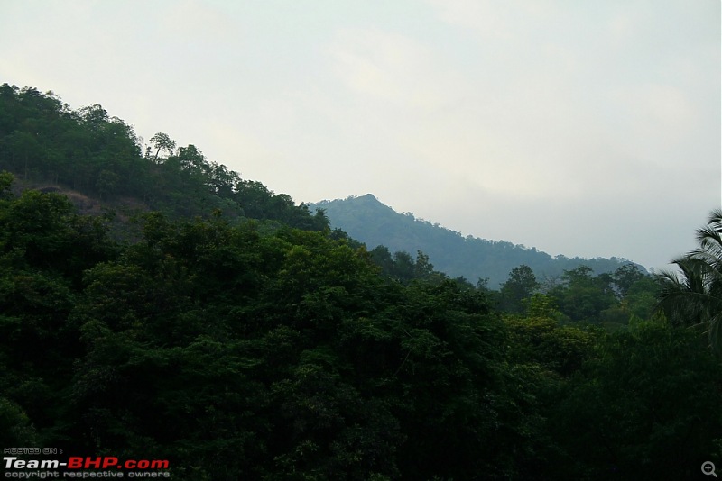 A few photos from Nilambur-img_4370.jpg