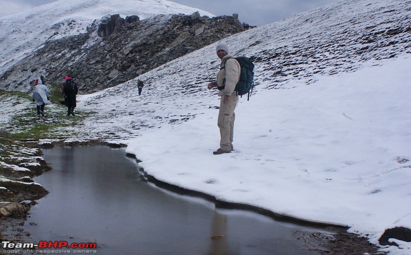 A Trek in The Himalayas-dsc04476.jpg