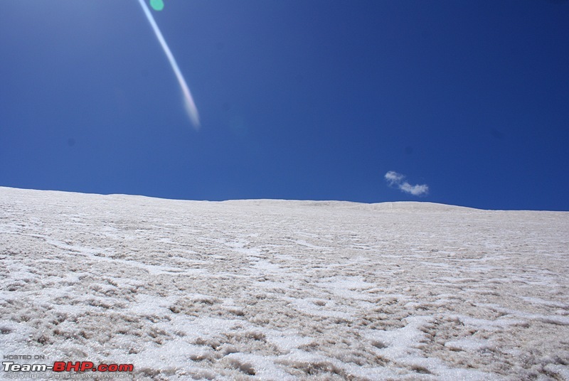 A Trek in The Himalayas-dsc04545.jpg