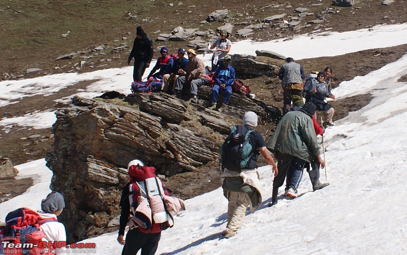 A Trek in The Himalayas-dsc04552.jpg