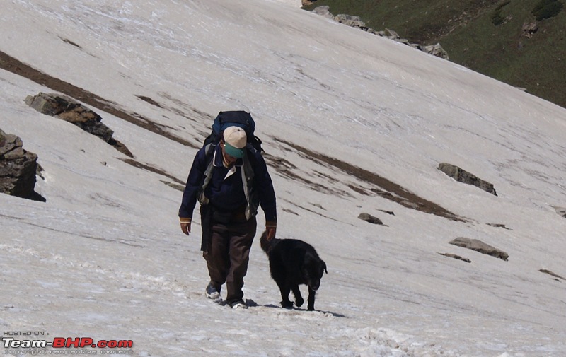 A Trek in The Himalayas-dsc04557.jpg