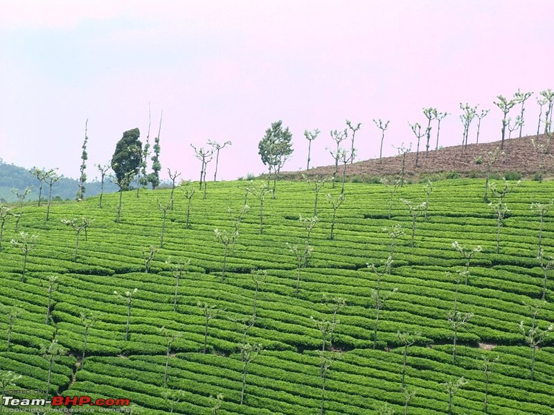 Exploring Karnataka Place after Place - With Pictures-dscf9993.jpg