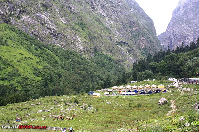 Photolog - Valley of Flowers - Hemkund Sahib-img_0278.jpg