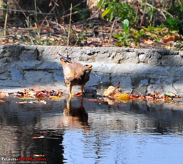 Gurgaon - Jim Corbett - Ranikhet - Gurgaon: The Unsatiated Quest-2187.jpg