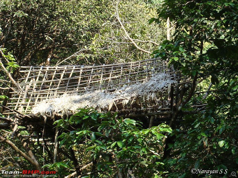 A Two Day Trip to Valparai via Athirapally & Vazhachal-dsc06707.jpg