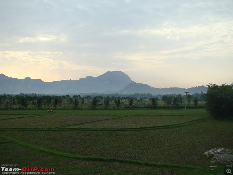 "Fly the coop" to kolli malai aka kolli hills-dsc03538_1067x800.jpg