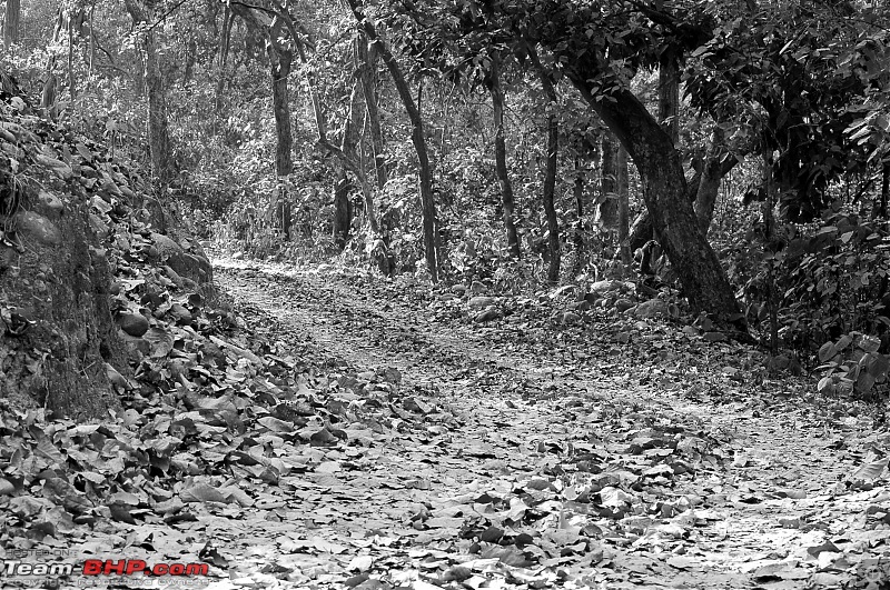 Gurgaon - Jim Corbett - Ranikhet - Gurgaon: The Unsatiated Quest-2224.jpg