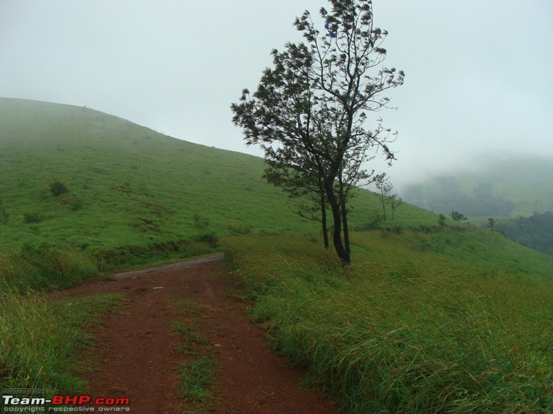 Run to the hills (almost): Chikkamaglur-copy-dsc01663.jpg