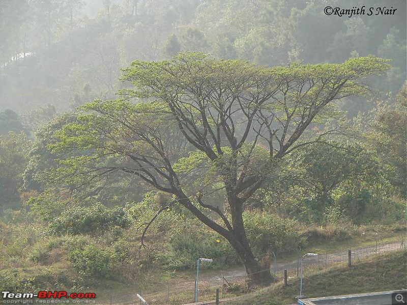 A Two Day Trip to Valparai via Athirapally & Vazhachal-dsc01729.jpg