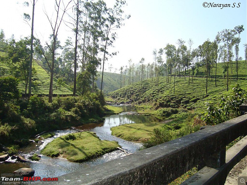 A Two Day Trip to Valparai via Athirapally & Vazhachal-dsc06827.jpg