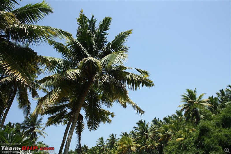 Vacation in a Vacation : Discovering Kerala - A Photologue-l1a10-017.jpg