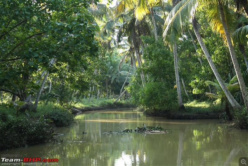 Vacation in a Vacation : Discovering Kerala - A Photologue-l1a10-170.jpg