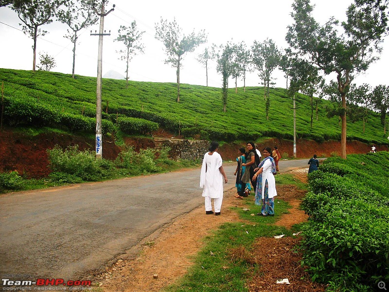 Trichu to Wayanad - Day trip in Tavera.-img_0421.jpg