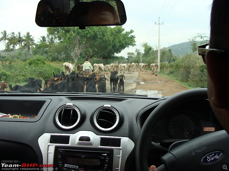 Cauvery Calling : Figo's first weekend trip to Bheemeshwari.-4.jpg