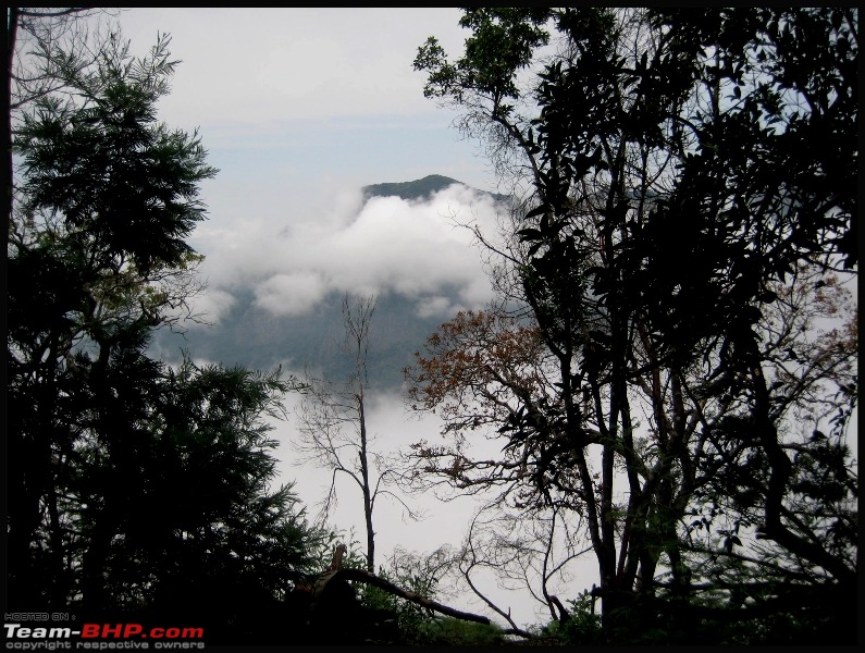 Ikonic journeys : Bangalore to Ooty & Coonor-img_8663.jpg