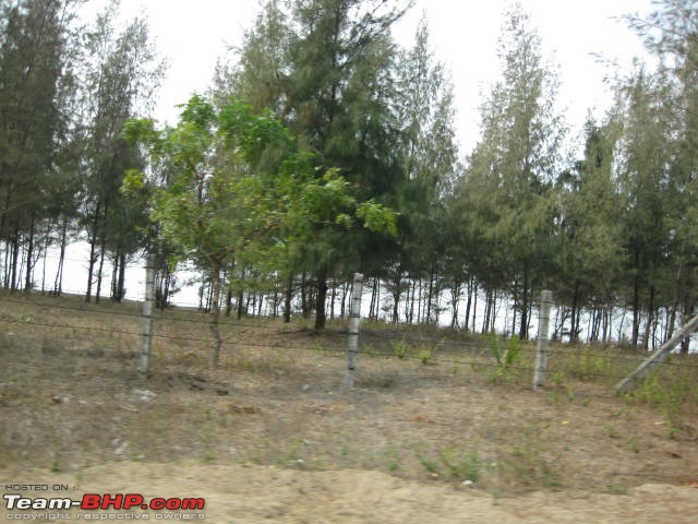 The flying fortress : Bombay-Udwada-Udaipur-Mount Abu-Bombay-trees-near-sea-past-dahanu.jpg