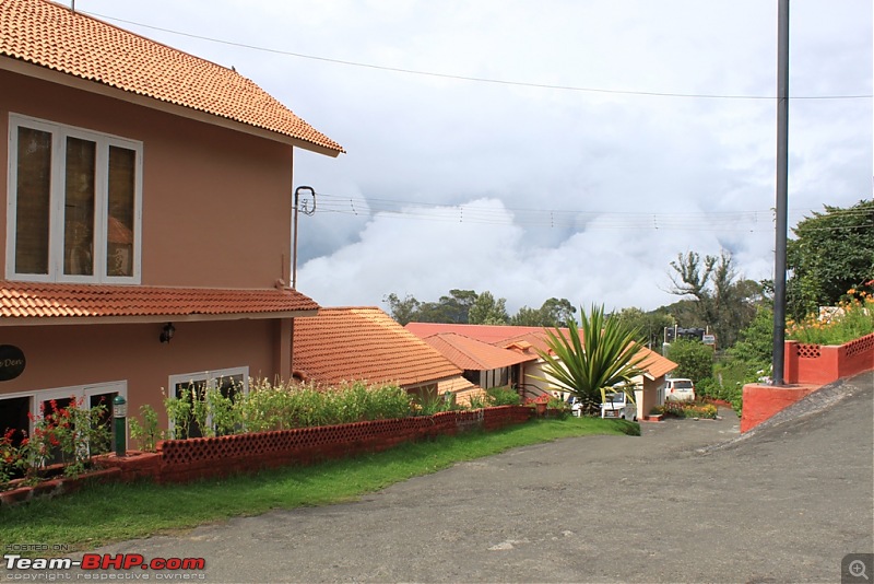 "The Gift of the Forest" -Land of misty afternoons- kodai-img_0162.jpg