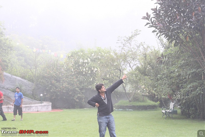 "The Gift of the Forest" -Land of misty afternoons- kodai-img_0403.jpg