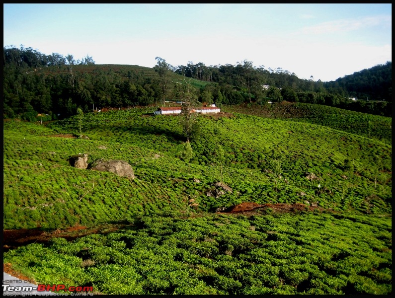 Ikonic journeys : Bangalore to Ooty & Coonor-img_8532.jpg