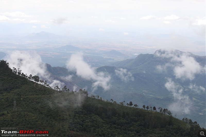 "The Gift of the Forest" -Land of misty afternoons- kodai-img_0246.jpg