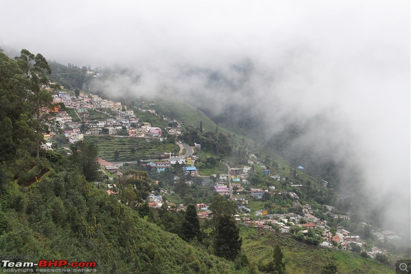 "The Gift of the Forest" -Land of misty afternoons- kodai-img_0262.jpg