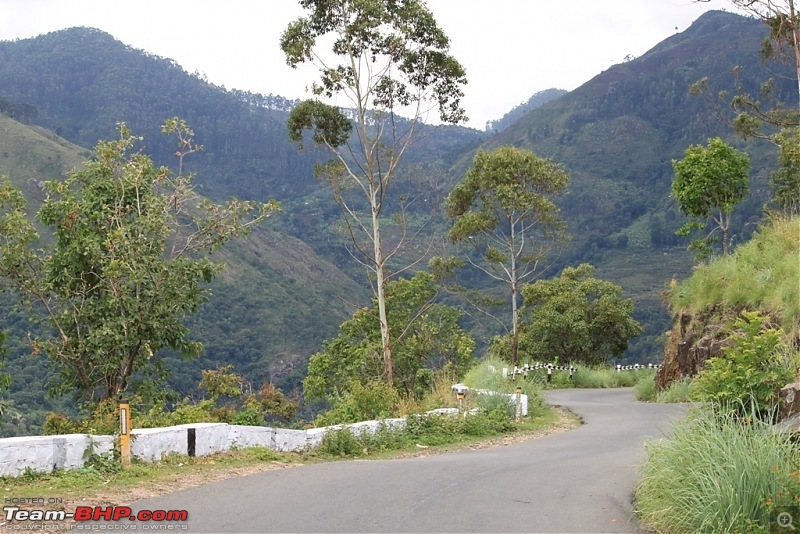 "The Gift of the Forest" -Land of misty afternoons- kodai-img_0060.jpg