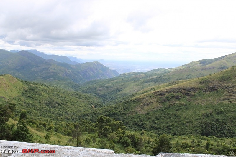 "The Gift of the Forest" -Land of misty afternoons- kodai-img_0097.jpg