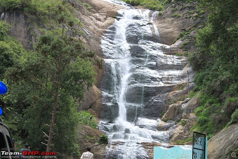 "The Gift of the Forest" -Land of misty afternoons- kodai-img_0099.jpg