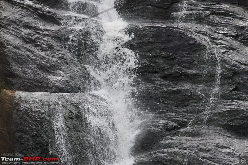 "The Gift of the Forest" -Land of misty afternoons- kodai-img_0102.jpg