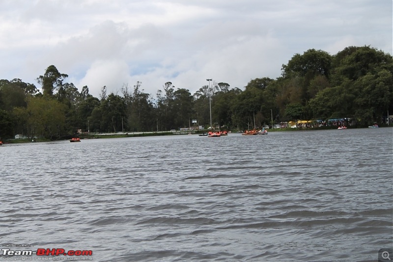 "The Gift of the Forest" -Land of misty afternoons- kodai-img_0180.jpg