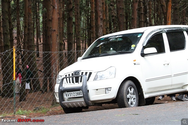 "The Gift of the Forest" -Land of misty afternoons- kodai-img_0288.jpg