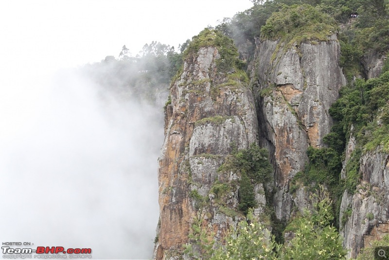 "The Gift of the Forest" -Land of misty afternoons- kodai-img_0335.jpg