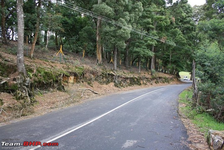 "The Gift of the Forest" -Land of misty afternoons- kodai-img_1086-custom.jpg