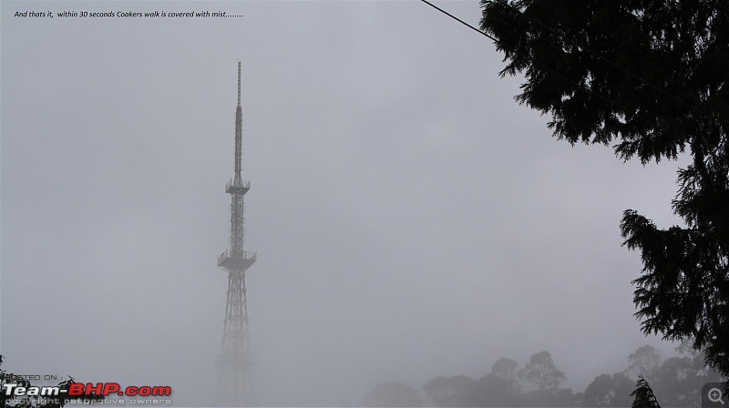 "The Gift of the Forest" -Land of misty afternoons- kodai-img_1055.jpg