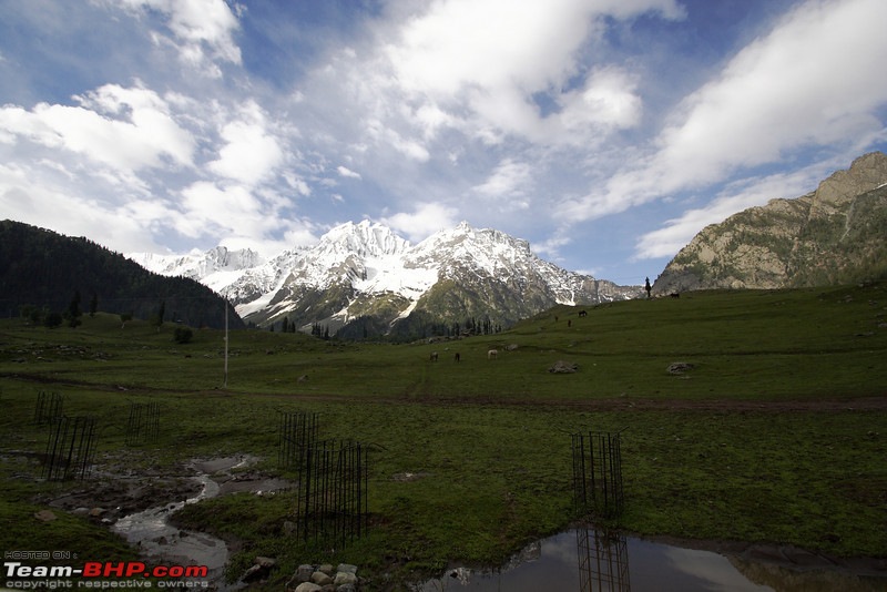 Ladakh and Changthang : The Wilderness Chronicles-902448483_bnnd9l.jpg