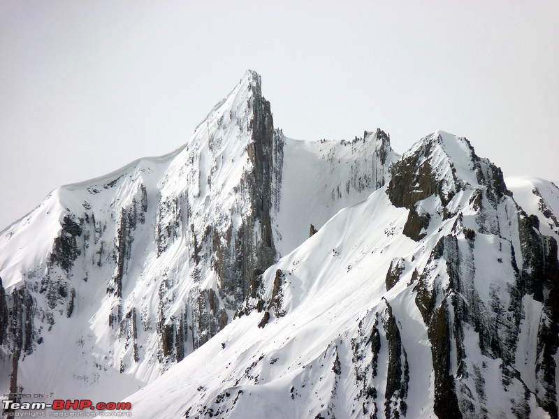 Ladakh and Changthang : The Wilderness Chronicles-901837809_g94v3l.jpg