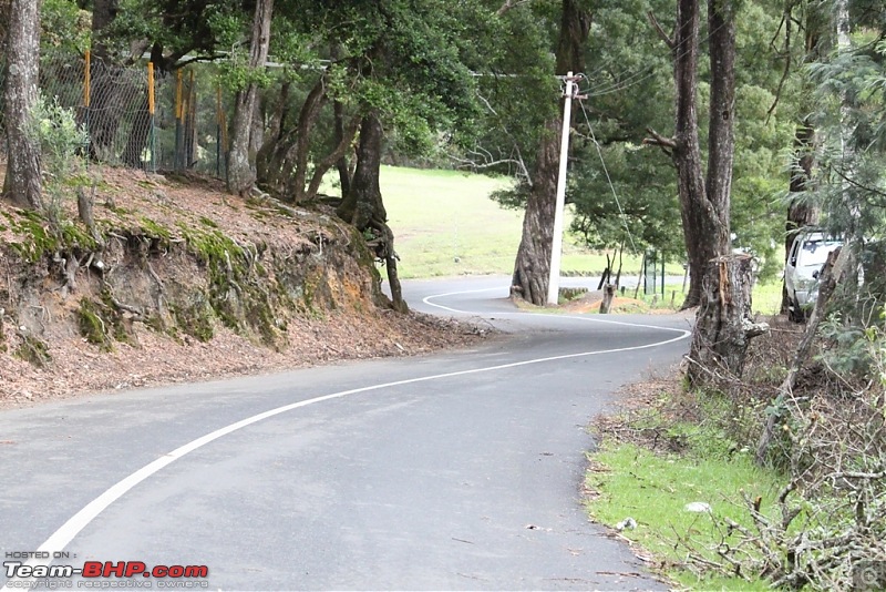 "The Gift of the Forest" -Land of misty afternoons- kodai-img_0350.jpg