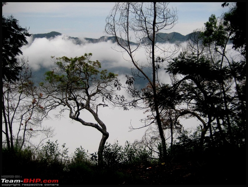 Ikonic journeys : Bangalore to Ooty & Coonor-img_8664.jpg